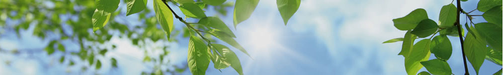 TAKIGEN将环境作为优先级管理定位问题。