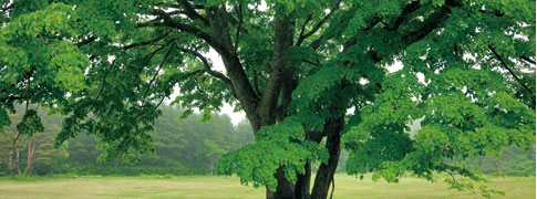 环保设备、环保五金件